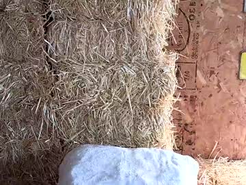 cam girl porn littlegreekflower image #5648259