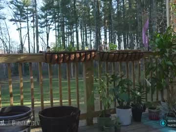 cam girl porn tantric_eden_ image #4214425