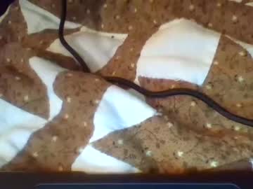cam girl porn fullpotofgold6 image #341503