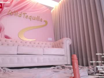 cam girl porn wildtequilla image #4023106