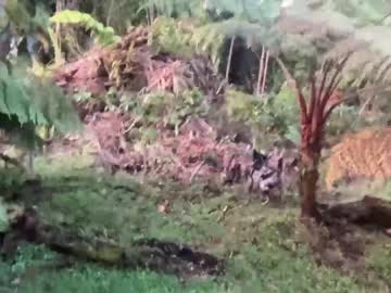 cam girl porn kaileeshy image #5297726