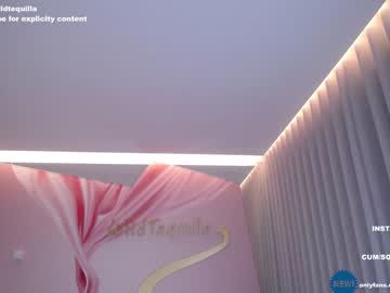 cam girl porn wildtequilla image #4215018
