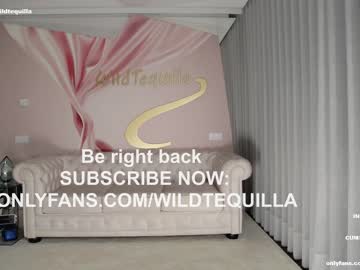 cam girl porn wildtequilla image #4993579