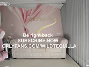 cam girl porn wildtequilla image #5777600