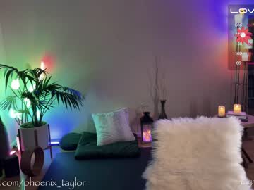 cam girl porn phoenix_taylor image #4294889