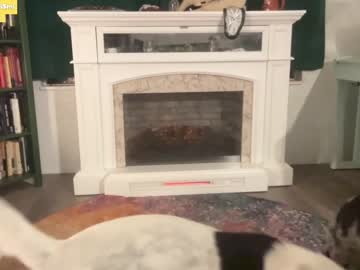 cam girl porn kaileeshy image #5981579