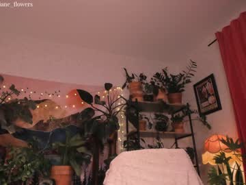 cam girl porn jane_flowers image #1452843