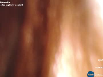 cam girl porn wildtequilla image #4200732