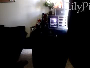 cam girl porn lilypixel image #1511742