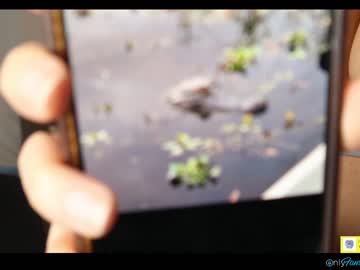 cam girl porn blissense image #3887211