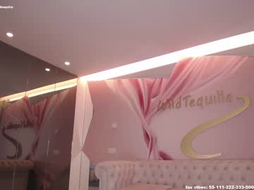 cam girl porn wildtequilla image #2761101