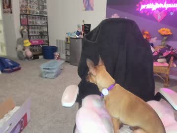 cam girl porn pr3ttyp1nkpussy image #3287712