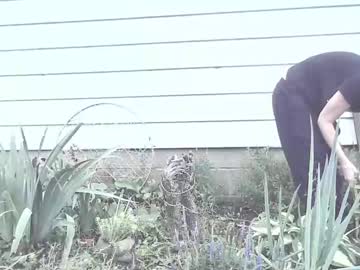 cam girl porn silentmary image #2452169