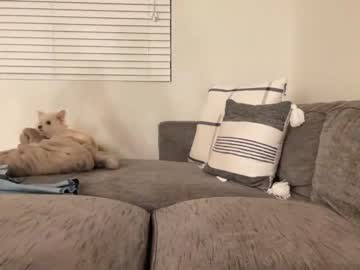 cam man porn entreporneur image #4532674