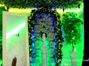 cam girl porn elisa_oliver image #343476