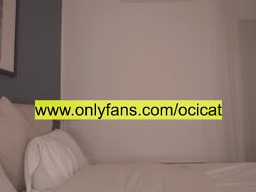cam girl porn ocicat image #3013504