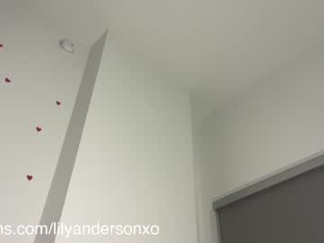 cam girl porn anderson_lily image #6375118