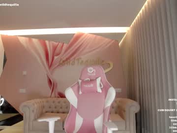 cam girl porn wildtequilla image #3033713