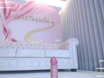 cam girl porn wildtequilla image #4508085