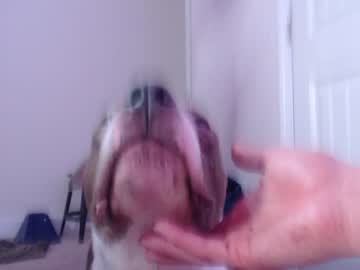 cam girl porn holihurricane image #3043311
