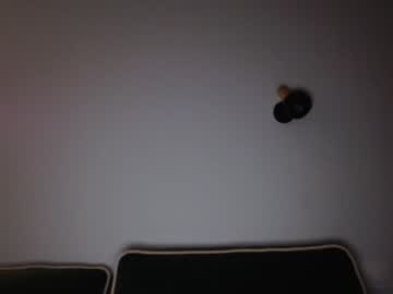 cam girl porn dyafirst image #4629910