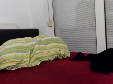 cam man porn blakeandsparky image #5316109