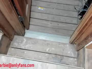cam girl porn rvlifebarbie image #3386332