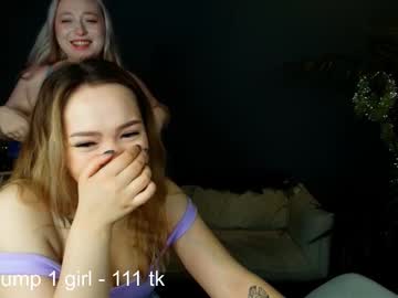 Cam for shir_0