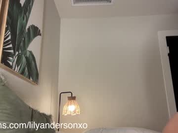 cam girl porn anderson_lily image #6088945