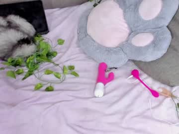 cam girl porn _servuss_ image #2684161