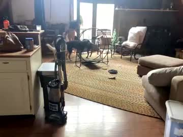 cam girl porn emersoncane image #4249111