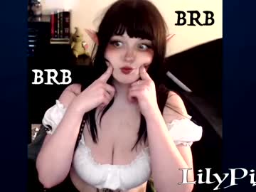 cam girl porn lilypixel image #3507155