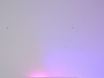 cam girl porn sapphirealice image #1408970