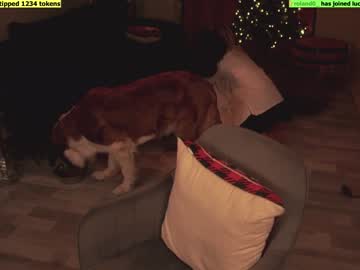 cam girl porn lucydelovely image #6009402