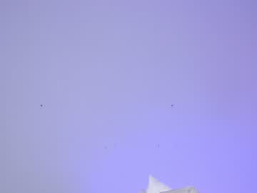 cam girl porn sapphirealice image #2137170