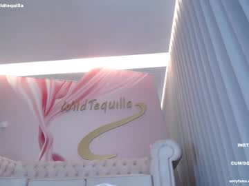 cam girl porn wildtequilla image #4308066