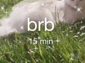 cam girl porn le_chan image #2794871