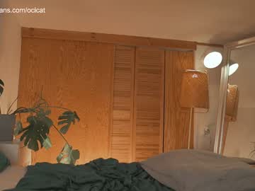 cam girl porn ocicat image #4887608