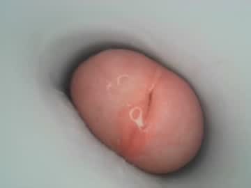 cam man porn jeffrodgerschaturbat image #3837744