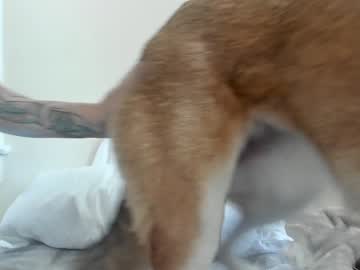 cam girl porn kosherpussy image #4892693