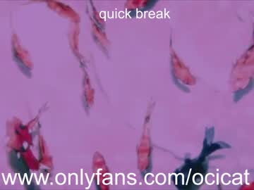 cam girl porn ocicat image #2309611