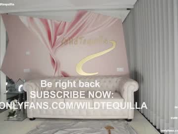 cam girl porn wildtequilla image #4400183