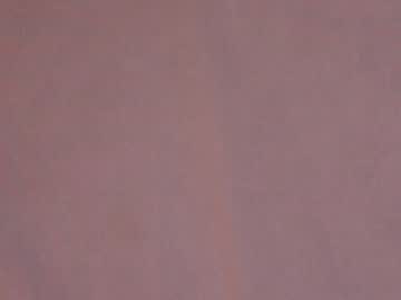 cam girl porn shycinderella image #1837910