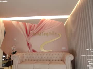 cam girl porn wildtequilla image #3749453