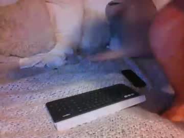 cam man porn azguy0505 image #660399