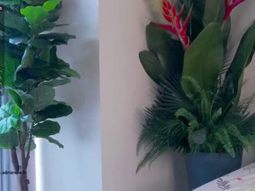 cam girl porn belle_adrienne image #1936333
