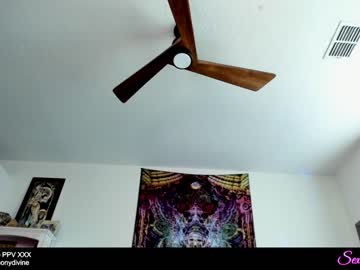 cam girl porn sexual_essence image #2373317