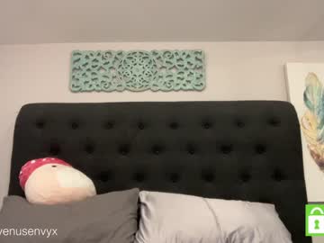 cam girl porn venusenvyx image #4602716