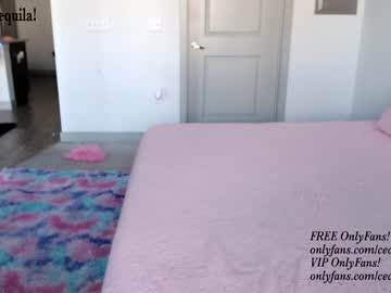 cam girl porn princess_cece image #4987732