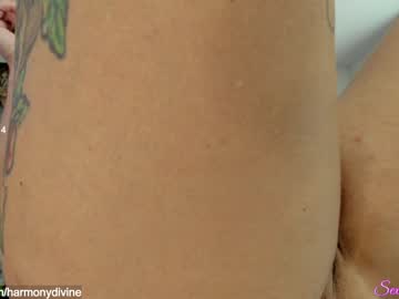 cam girl porn sexual_essence image #2588415